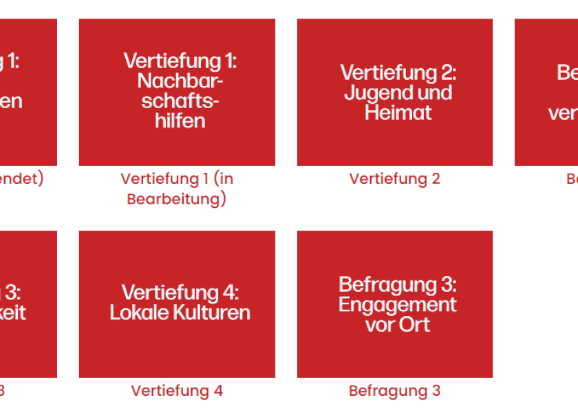 Grafik zu Projektablauf mit drei Befragungen und vier Vertiefungsprojekte