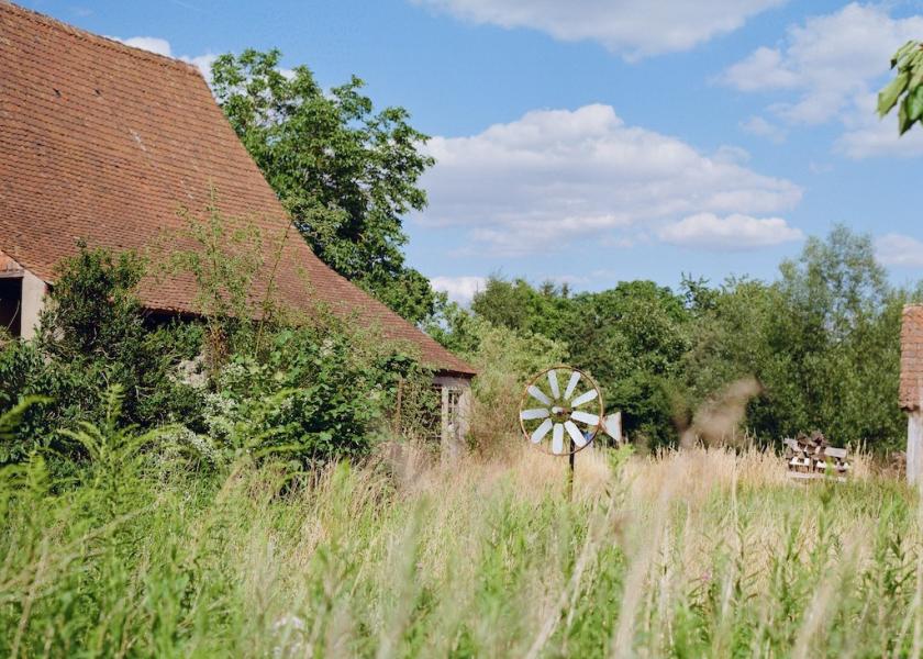 Ein altes Haus, eingebettet von einem hoch gewachsenen Grass
