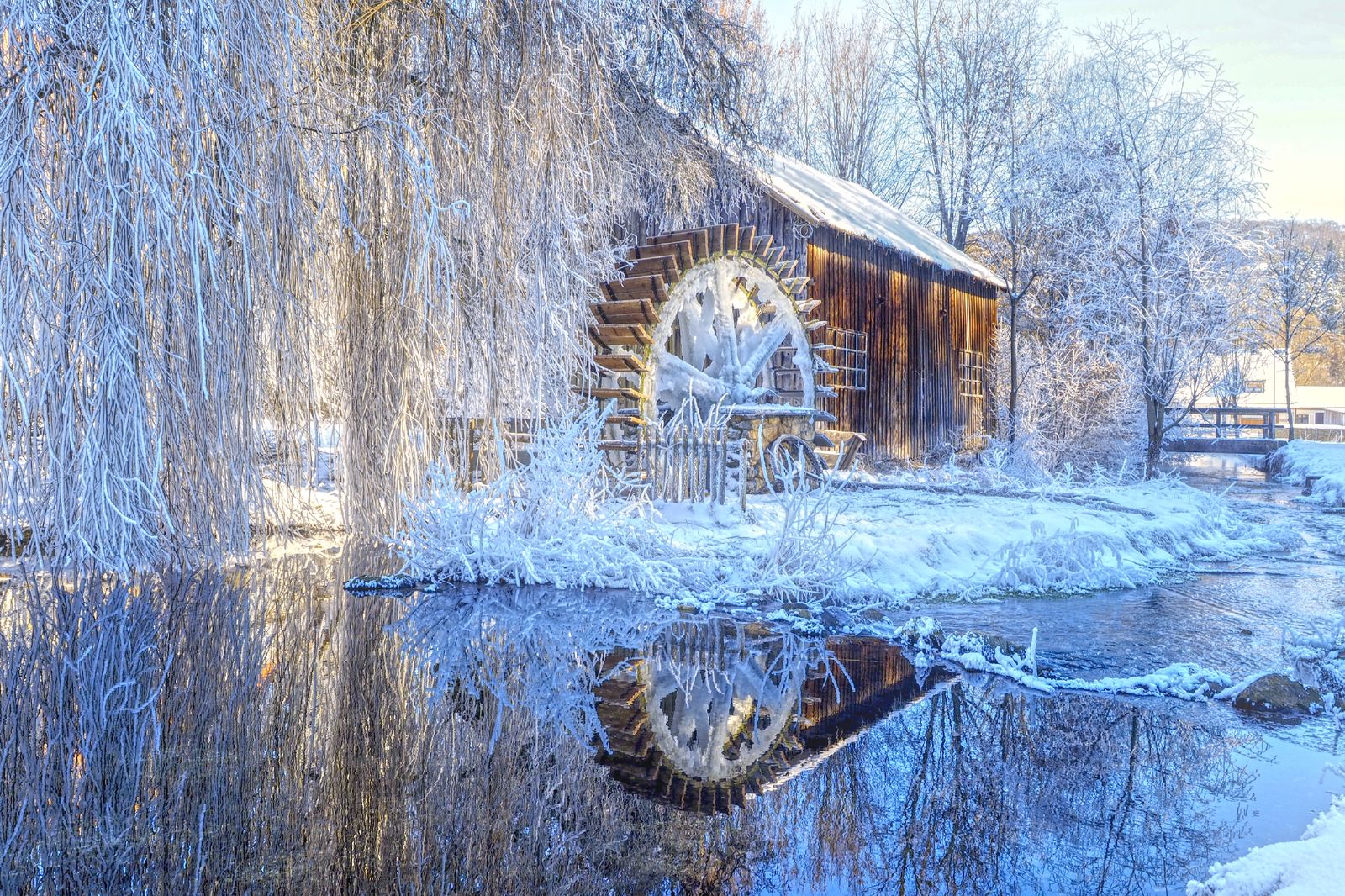 Sonderpreis „Winterbild“