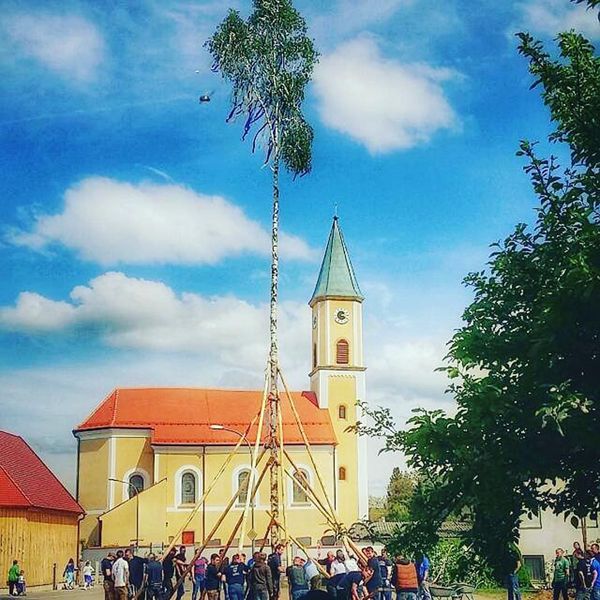 Maibaum aufstellen