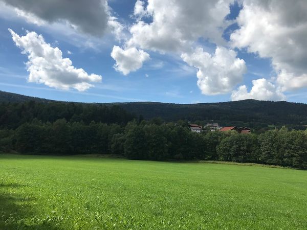 Vui Woid und Bliamal