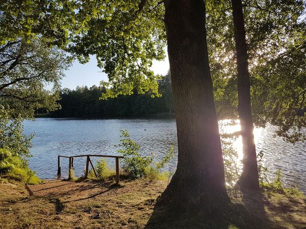 Dreiburgensee