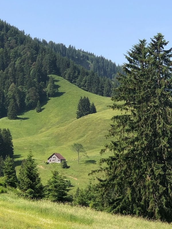 Einsamkeit