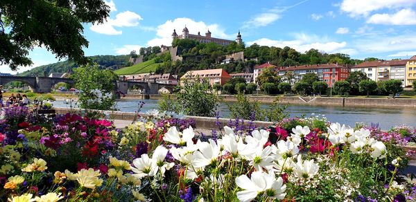 Festung