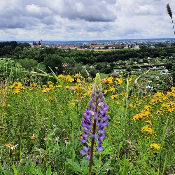 Das Ruhrgebiet des Mittelalters