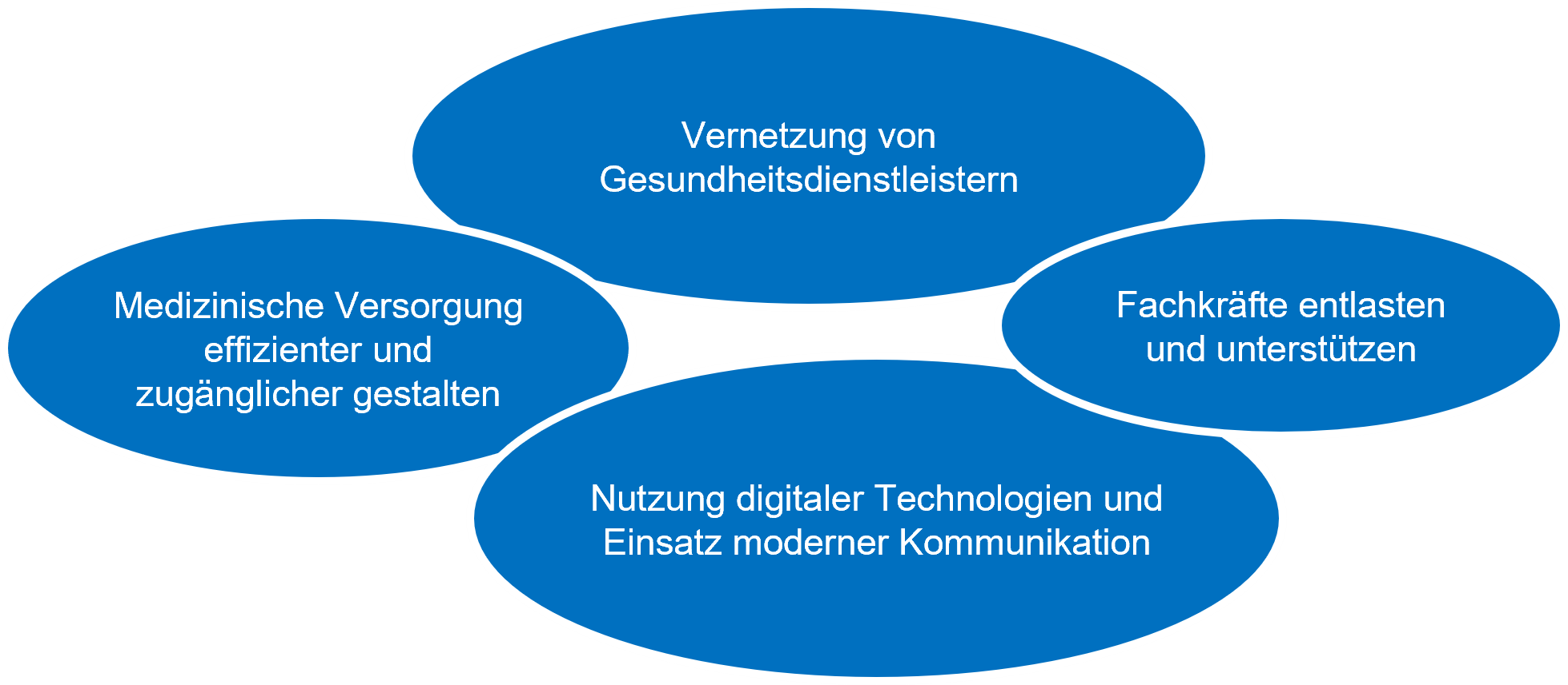 Medizinische Versorgung effizienter und zugänglicher gestalten; Vernetzung von Gesundheitsdienstleistern; Fachkräfte entlasten und unterstützen