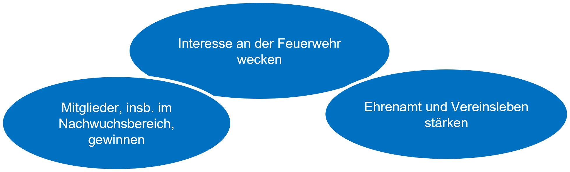 Mitglieder, insb. im Nachwuchsbereich gewinnen; Interesse an der Feuerwehr wecken; Ehrenamt und Vereinsleben stärken