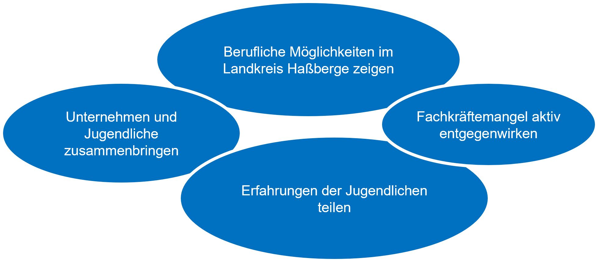 Unternehmen und Jugendliche zusammenbringen; Berufliche Möglichkeit im Landkreis Haßberge zeigen; Fachkräftemangel aktiv entgegenwirken; Erfahrungen der Jugendlichen teilen