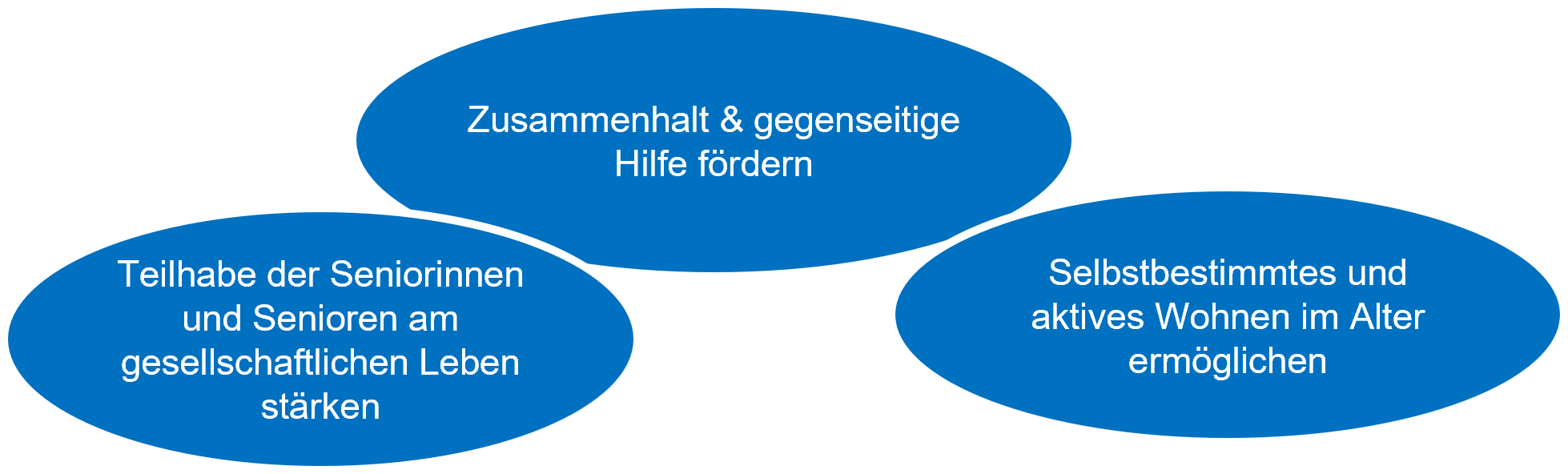 Teilhabe der Seniorinnen und Senioren am gesellschaftlichen Leben stärken; Zusammenhalt und gegenseitige Hilfe fördern; Selbstbestimmtes und aktives Wohnen im Alter ermöglichen