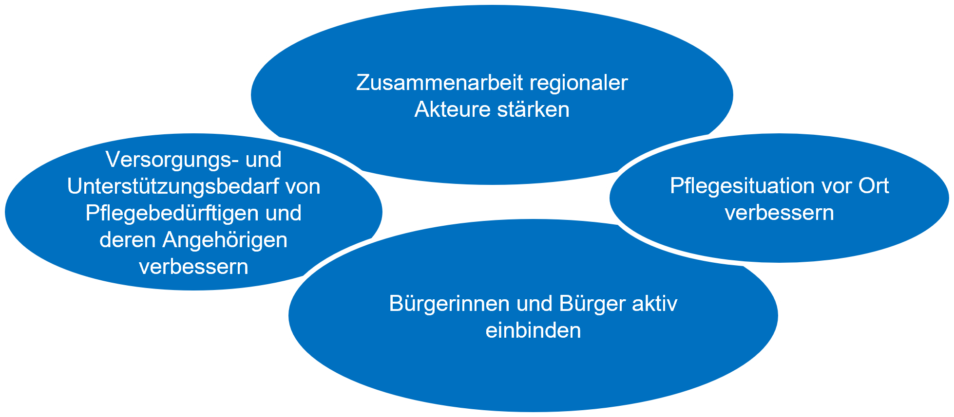 Versorgungs- und Unterstützungsbedarf von Pflegebedürftigen und deren Angehörigen verbessern; Zusammenarbeit regionaler Akteure stärken; Pflegesituation vor Ort verbessern; Bürgerinnen und Bürger aktiv einbinden