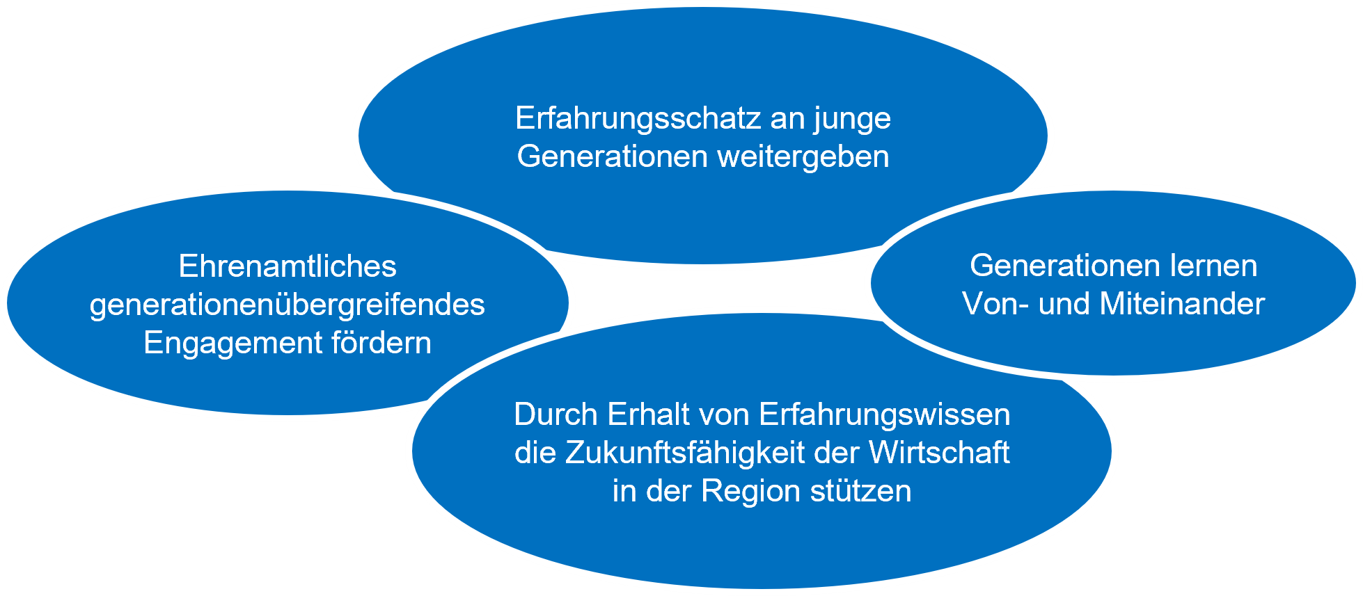 Ehrenamtliches generationsübergreifendes Engagement fördern; Erfahrungsschatz an junge Generation weitergeben; Generationen lernen Von- und Miteinander; Durch Erhalt von Erfahrungswissen die Zukunftsfähigkeit der Wirtschaft in der Region stützen
