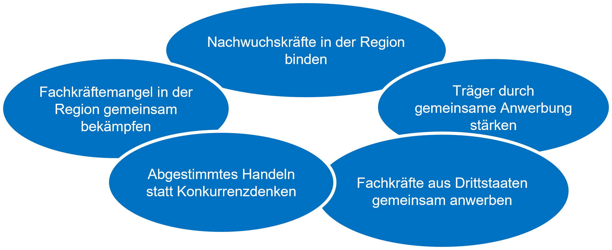 Fachkräftemangel in der Region gemeinsam bekämpfen; Nachwuchskräfte in der Region binden; Träger durch gemeinsame Anwerbung stärken; Fachkräfte aus Drittstaaten gemeinsam anwerben; Abgestimmtes Handeln statt Konkurrenzdenken
