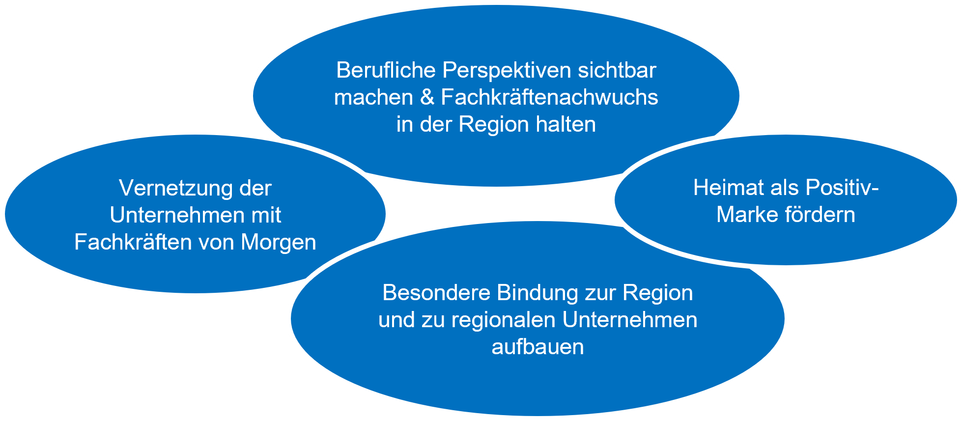 Vernetzung der Unternehmen mit Fachkräften von Morgen; Berufliche Perspektiven sichtbar machen & Fachkräftenachwuchs in der Region halten; Heimat als Positiv-Marke fördern; Besondere Bindung zur Region und zu regionalen Unternehmen aufbauen