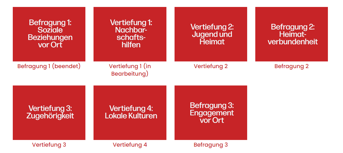 Grafik zu Projektablauf mit drei Befragungen und vier Vertiefungsprojekte