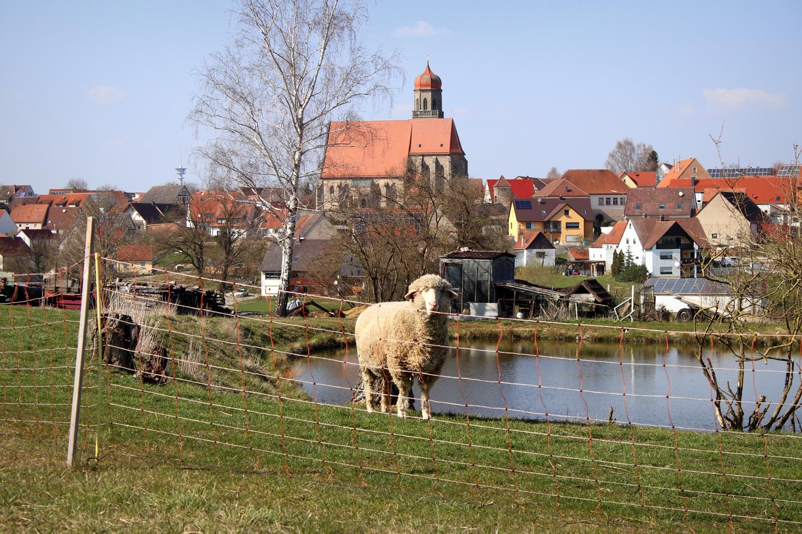 Weide mit Panoramablick