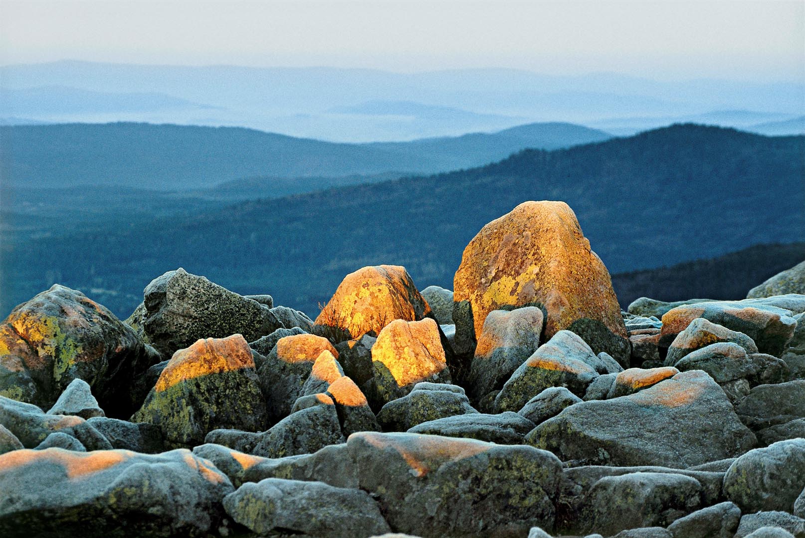 Lusengipfel Nationalpark Bayerischer Wald