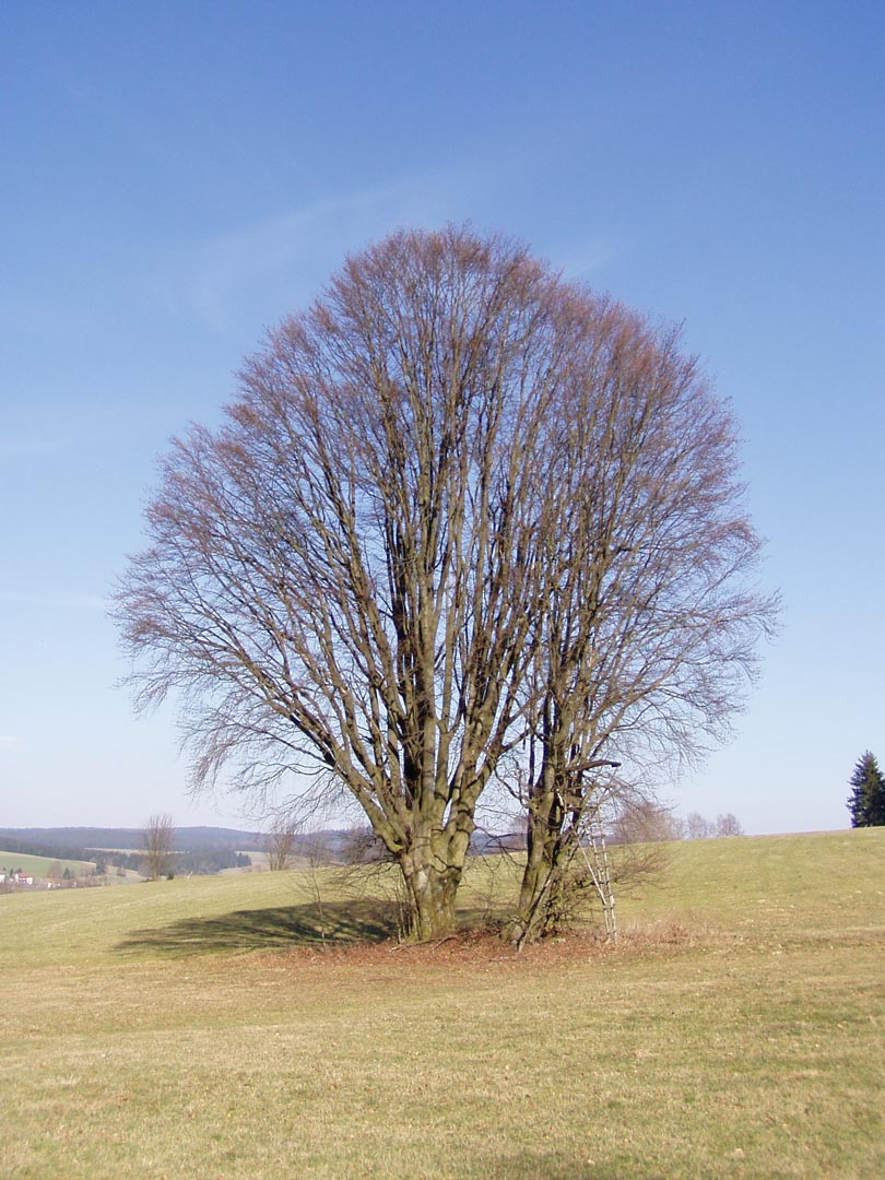 Die "Stoina Bouchn", eine natürliche Zweisamkeit