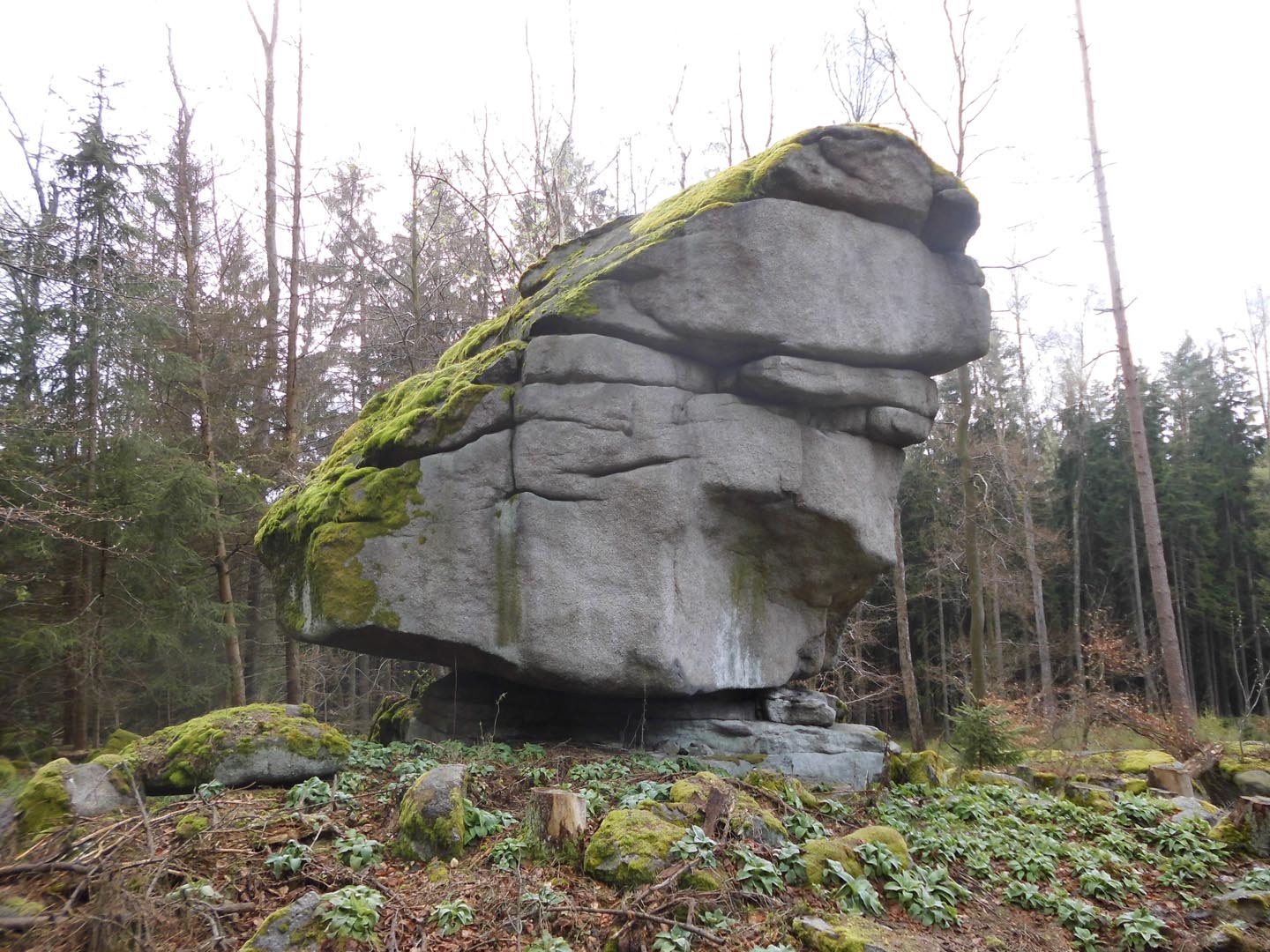 Der "Wackelstein", sinnbildliche Froschgestalt