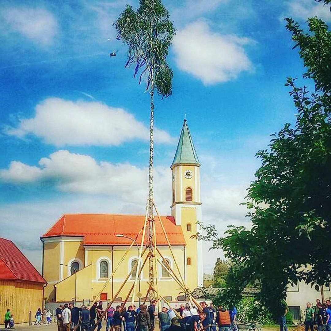 Maibaum aufstellen 