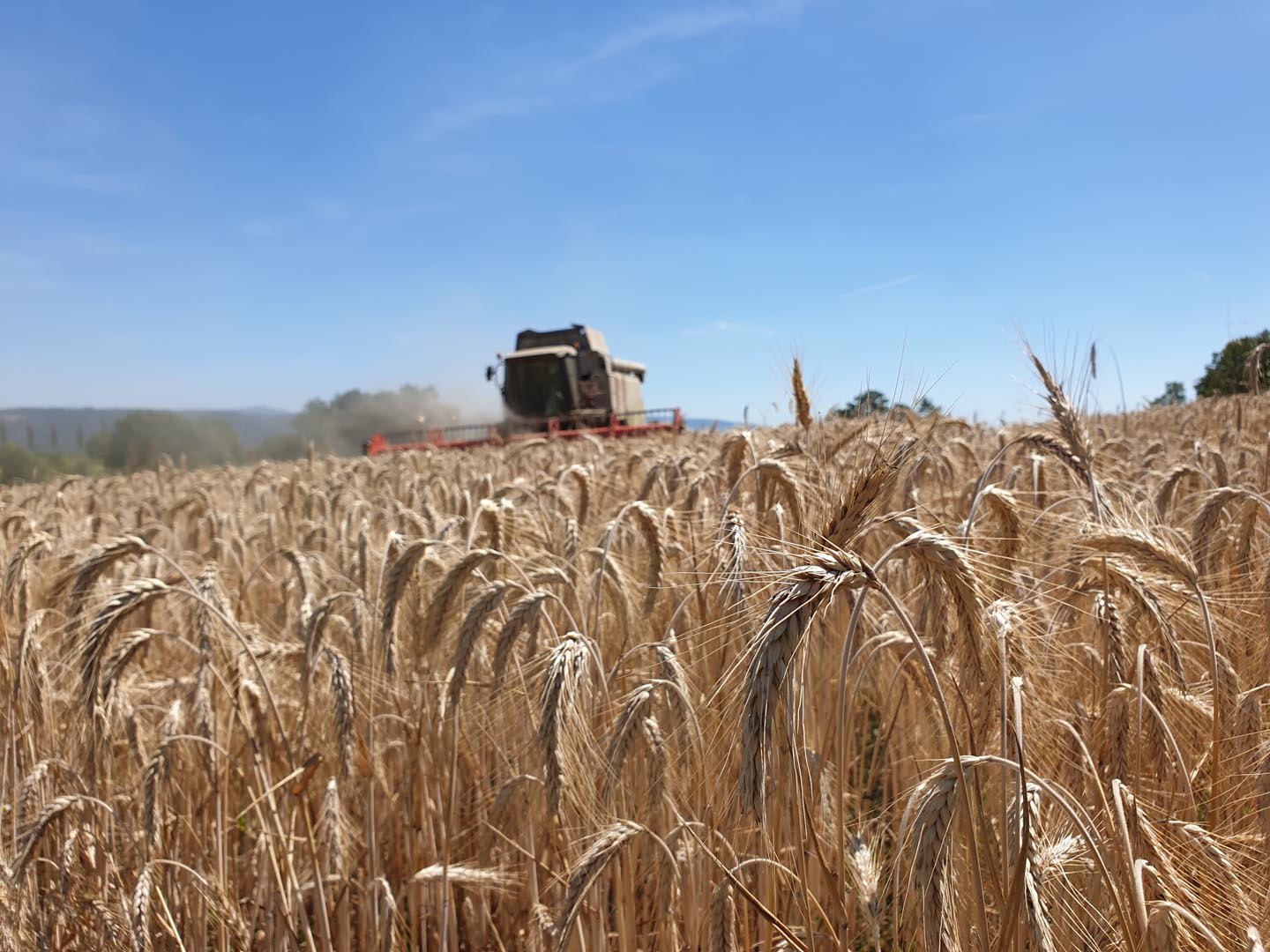 Landwirtschaft in Oberfranken 