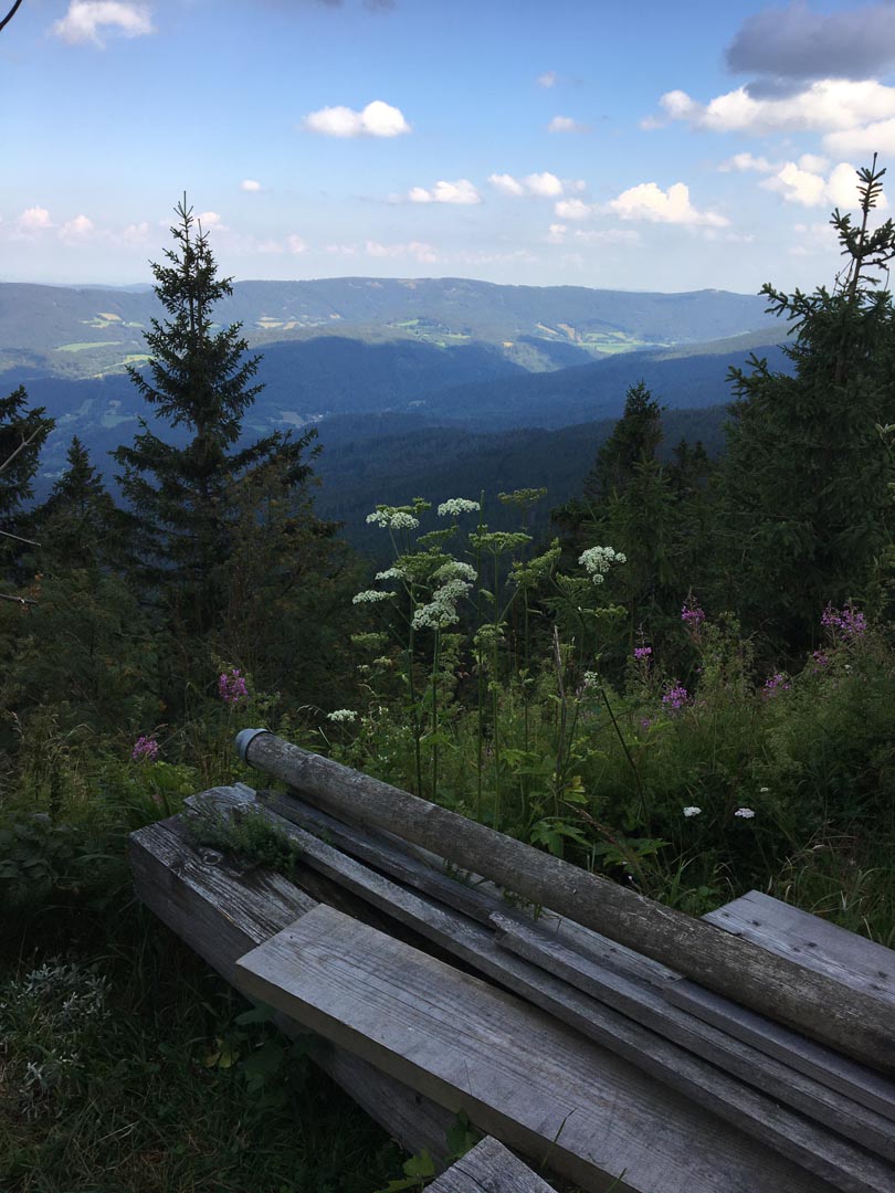 Blick vom Großen Osser