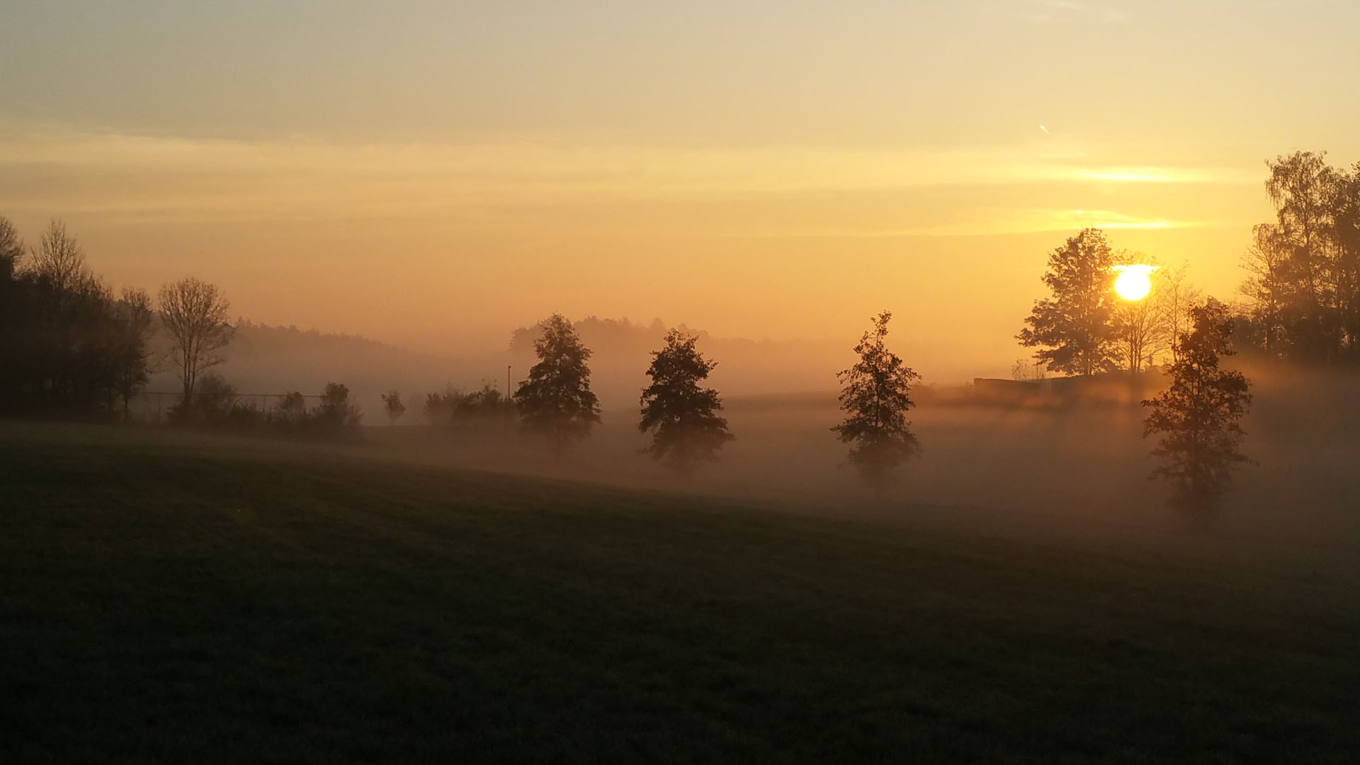 Morgenstimmung Petersaurach