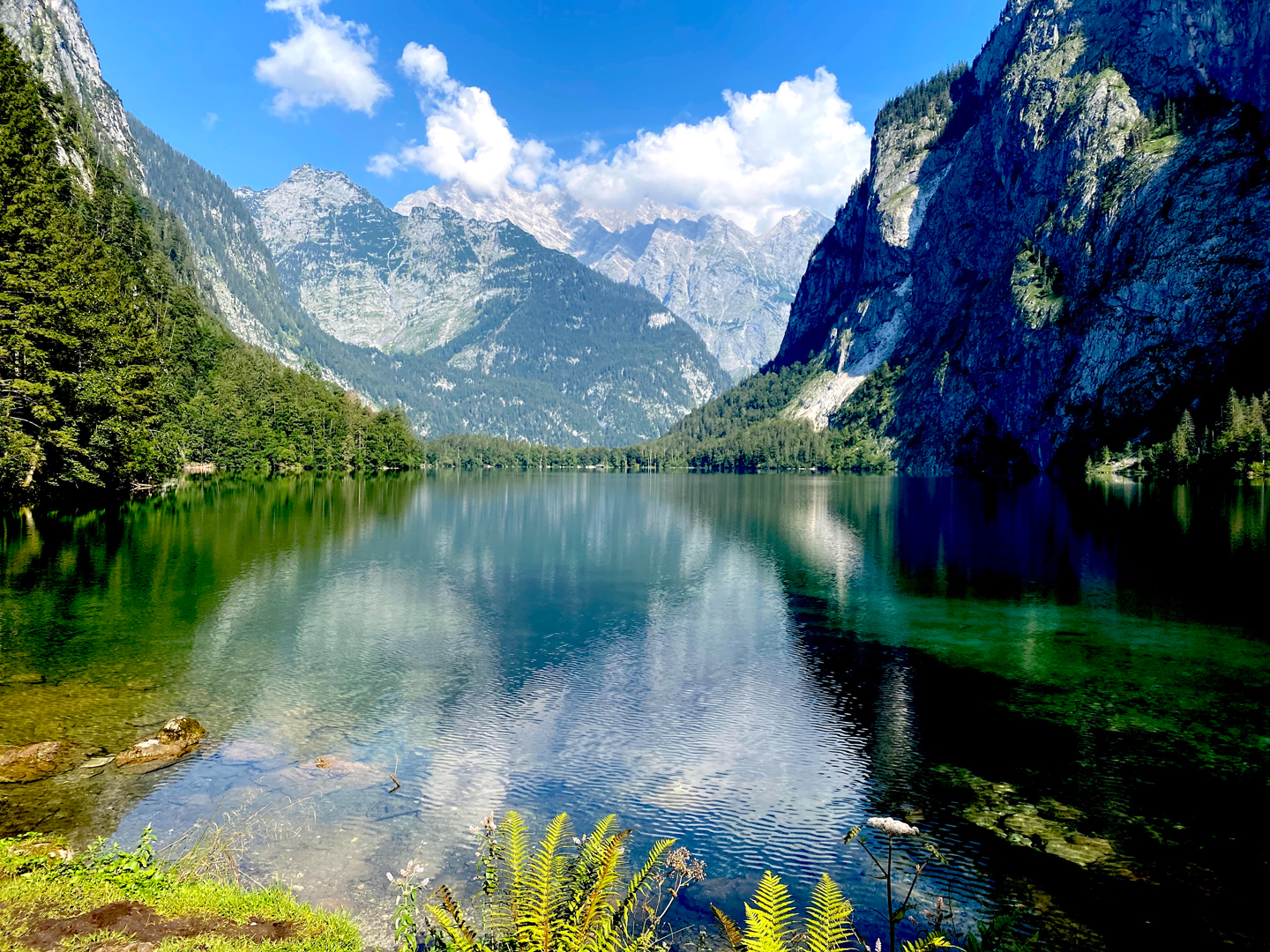 Obersee