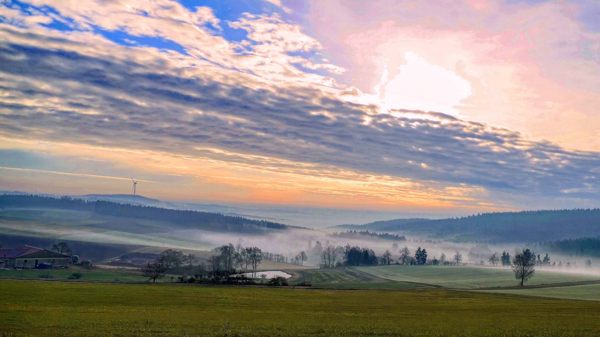 Frühnebel