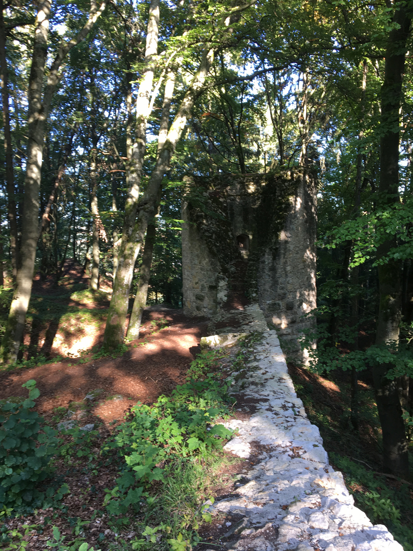 Burgruine Ehrenfels