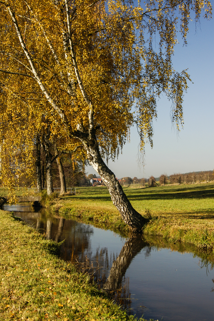 Bachlauf der Schwabach