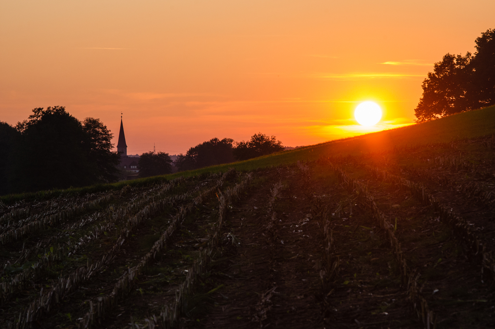 Sonnenuntergang über Rohr