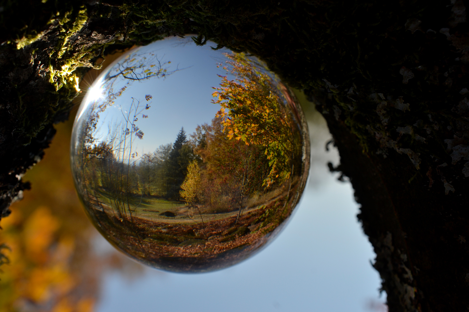 Nationalpark Bayrischer Wald 