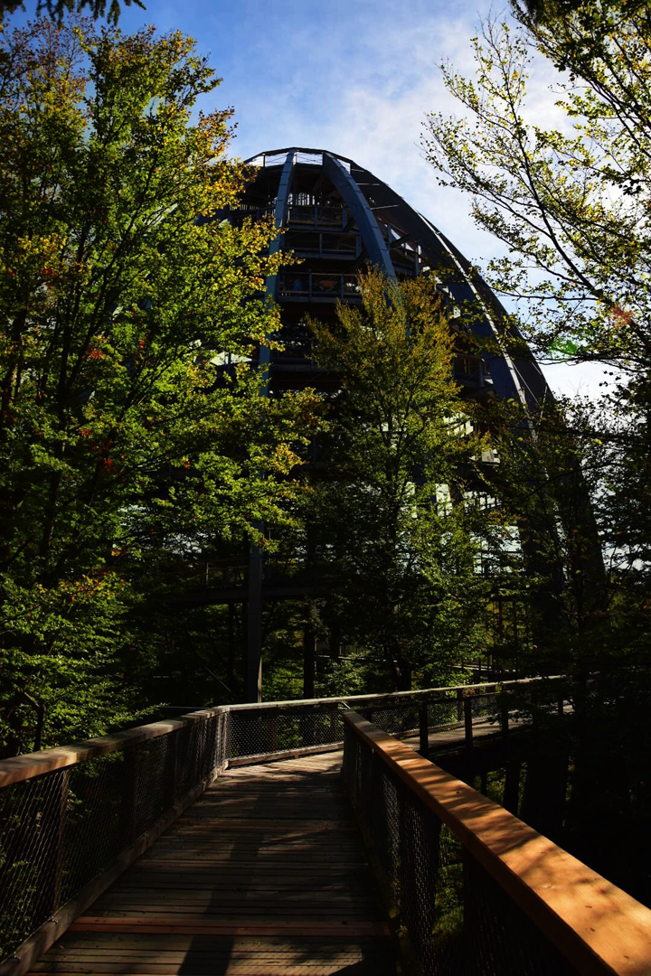 Baumwipfelpfad Bayerischer Wald