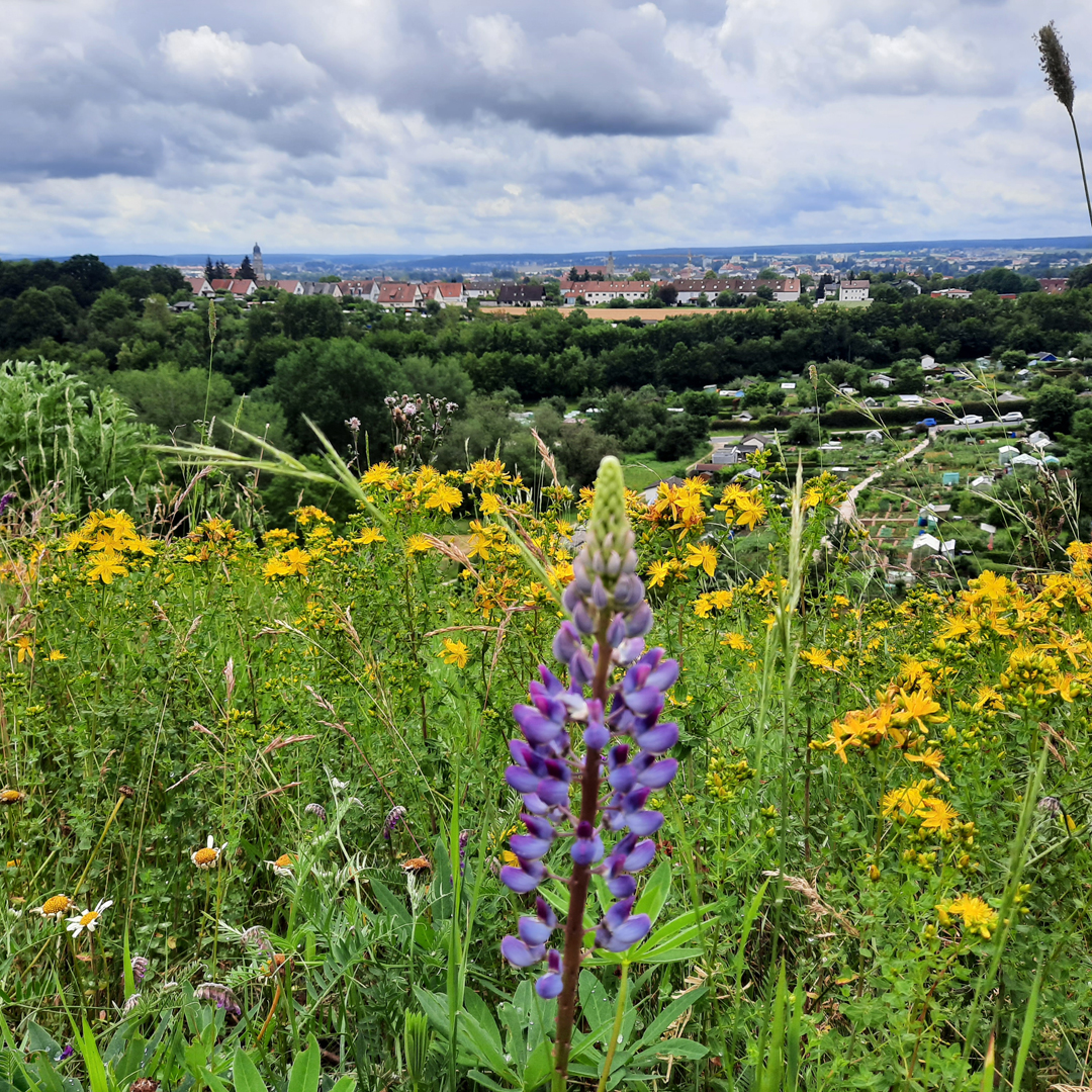 Das Ruhrgebiet des Mittelalters