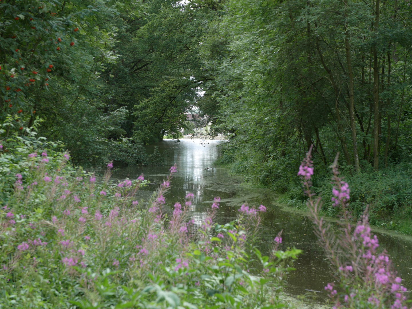 (Alte) Verkehrswege - in die Natur integriert