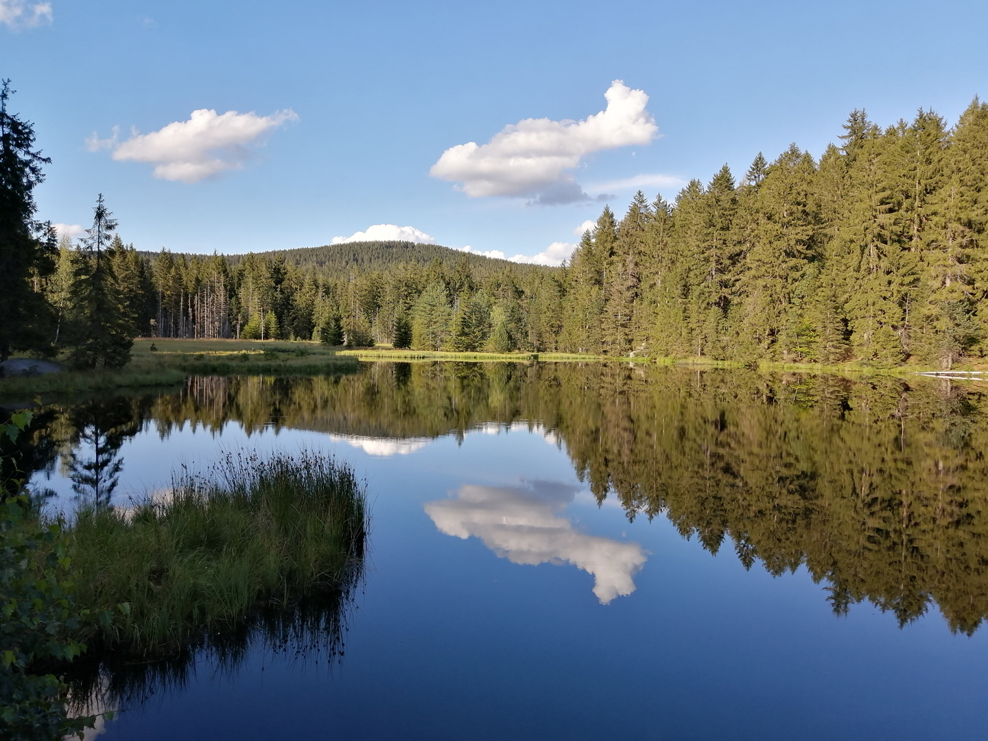 Moorsee neben dem Fichtlsee