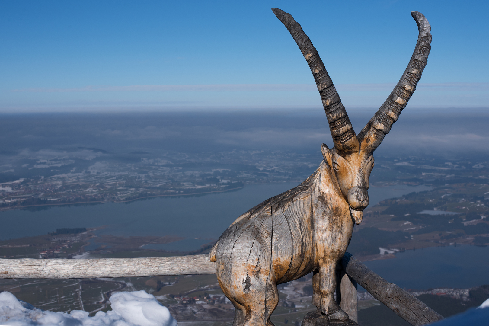 Der Steinbock der Lüfte