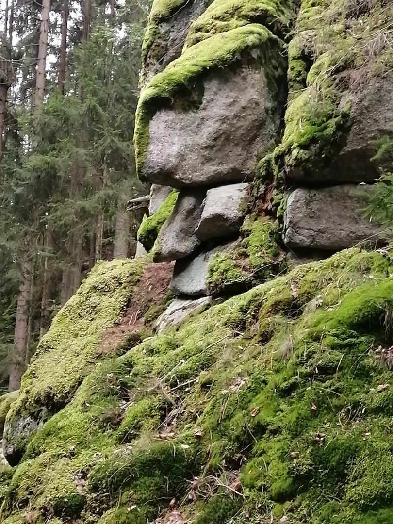 Steingesicht im Steinwald